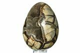 Septarian Dragon Egg Geode - Sparkly Black Crystals #308831-1